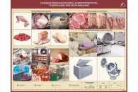 Стенд электрифицированный Порядок переработки мяса и мясопродуктов, подлежащих обеззараживанию