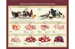 Стенд Обработка субпродуктов и костей птицы и дичи1
