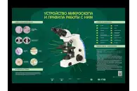 Электрифицированный стенд Устройство микроскопа и правила работы c ним