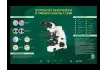 Электрифицированный стенд Устройство микроскопа и правила работы c ним_1