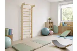 Шведская стенка с турником Баланс1