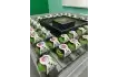 IMG-20250822-WA0008