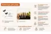 Детская агролаборатория (базовый комплект) (6)_1