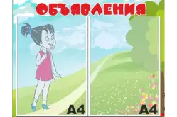 Стенд Объявления 48х37 см1