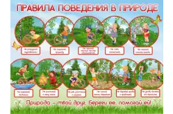 Стенд Правила поведения в природе 80х60 см1