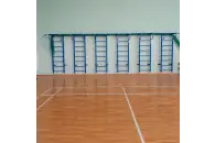 Шведская стенка стальная с турником