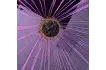 upload_1789365952_9205