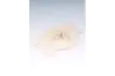 upload_1790834510_9242