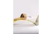 upload_1790834681_1583