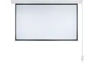 Моторизованный проекционный экран Lumien Master Control LMC-100115 272 × 153 см