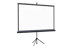 Экран на штативе Lumien Eco View LEV-1001151