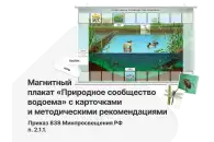 Магнитный плакат «Природное сообщество водоема» с карточками и методическими рекомендациями