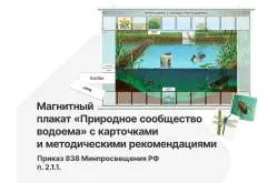 Наглядное пособие по окружающему миру для начальных классов — магнитный плакат «Природное сообщество водоема» с карточками и методическими рекомендациями1