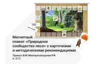 Магнитный плакат «Природное сообщество леса» с карточками и методическими рекомендациями