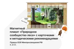 Наглядное пособие по окружающему миру для начальных классов — магнитный плакат «Природное сообщество леса» с карточками и методическими рекомендациями1