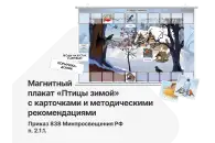 Магнитный плакат «Птицы зимой» с карточками и методическими рекомендациями