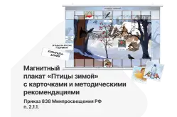 Наглядное пособие по окружающему миру для начальных классов — магнитный плакат «Птицы зимой» с карточками и методическими рекомендациями1