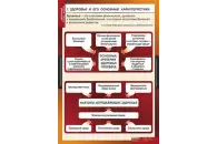 Таблицы демонстрационные Здоровый образ жизни