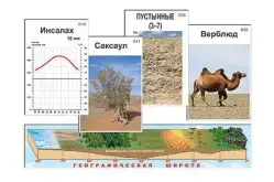 Модель-аппликация Природные зоны (ламинированная)1