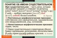 Комплект таблиц Русский язык. Имя существительное (7 таблиц)