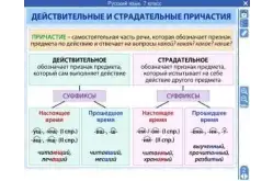 Электронные плакаты и тесты. Русский язык. 7 класс1