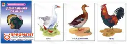 Демонстрационный материал «Домашние птицы» (пособия для детей от 4 лет)1