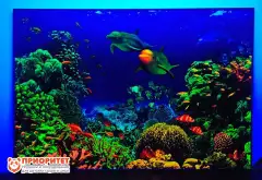 Интерактивное светящееся панно «Морское дно» с УФ лучами1