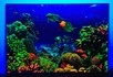 Интерактивное светящееся панно «Морское дно» с УФ лучами