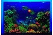 Интерактивное светящееся панно «Морское дно» с УФ лучами