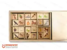 Набор карточек «Животные и растения» для детского сада1