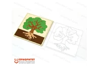 Комплект Монтессори «Ботанические рамки-вкладыши»