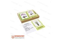 Игровой набор Монтессори «Комнатные растения. 3-х частные карточки»