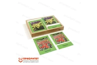 Игровой набор Монтессори «Первоцветы. 3-х частные карточки»