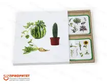 Комплект карточек Монтессори «Культурные растения»1