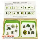 Комплект карточек Монтессори «Деревья по среде»1