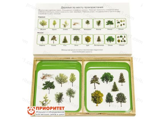 Комплект карточек Монтессори «Деревья по среде»