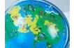 Интерактивный глобус (4) 11