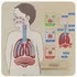 Панель «Дыхательная система»