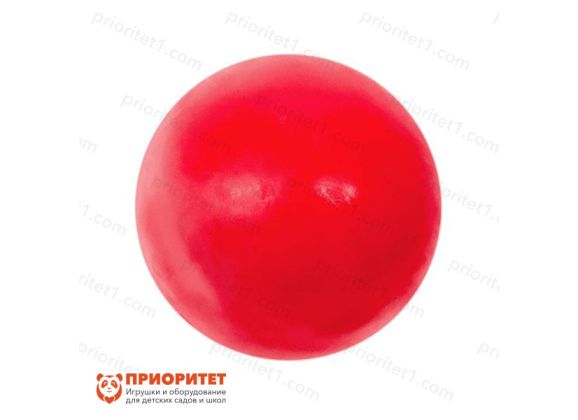 Мяч «Радуга» (диаметр 23 см) в сетке