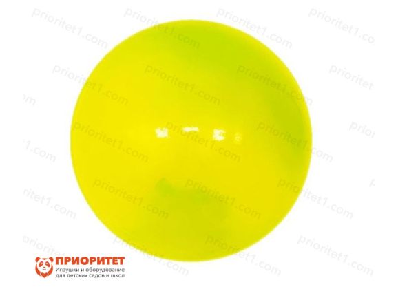 Мяч «Радуга» (диаметр 20 см) в сетке