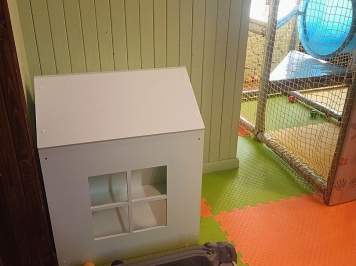 50ac7533-32e0-4584-88b3-c464a75cafb3