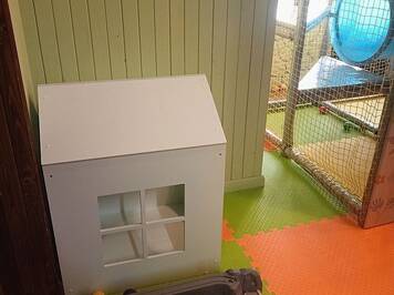 50ac7533-32e0-4584-88b3-c464a75cafb3