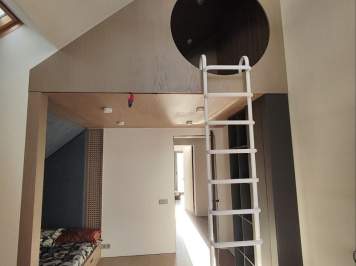 Зеленый бор (11)