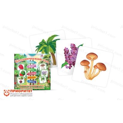 Набор карточек «Ботанический сад»