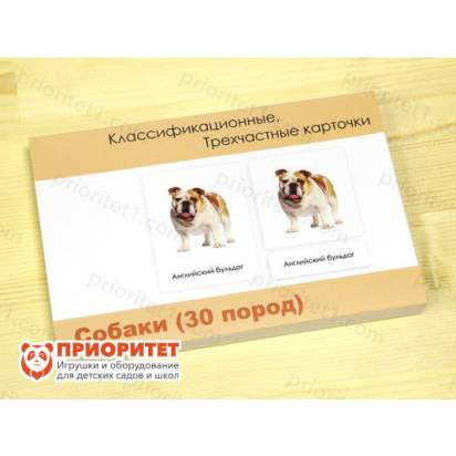 Комплект трехчастных карточек Монтессори «Собаки» 2_1