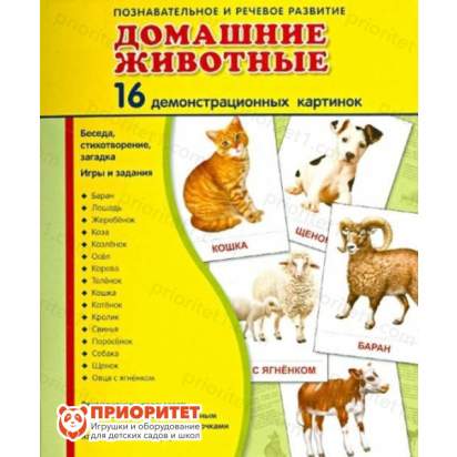 Демонстрационные карточки «Домашние животные» (173x220 мм) - копия_1