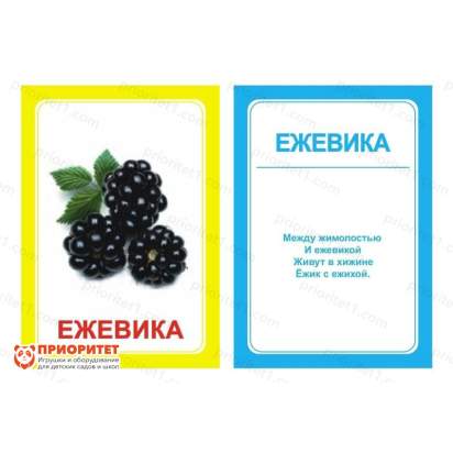 Логопедические картинки для автоматизации звука «Ж»_1