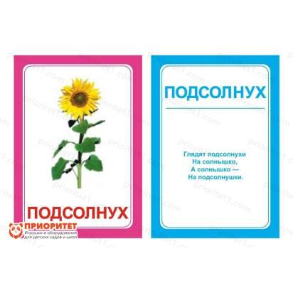 Логопедические картинки для автоматизации звука «Л»_1