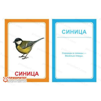 Логопедические картинки для автоматизации звука «Ц»_1