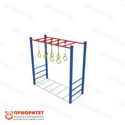 Кроссфит «Рукоход» с кольцами